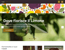 Tablet Screenshot of limonio.com